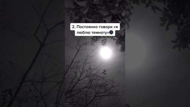 Мастерство в Творчестве