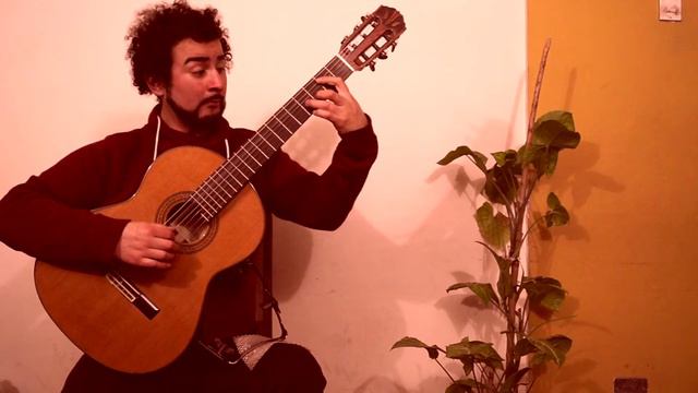 Estudio 2, opus 60 - Matteo Carcassi | Reinaldo Galaz смотреть онлайн