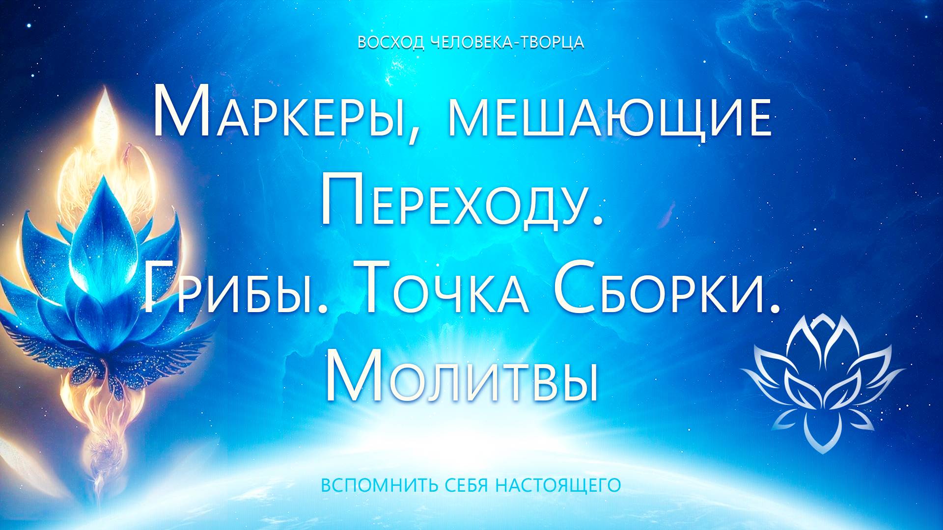 Ответы на вопросы смотреть онлайн