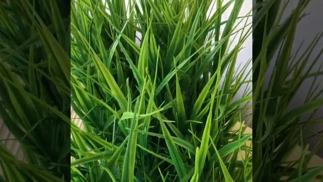 Как выглядит качественная искусственная трава 25 см смотреть онлайн