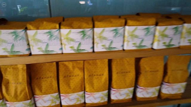 Колумбия || Начало путешествия на ферму «Ла Виолета» || Особенности эспрессо в Боготе смотреть онлайн