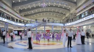 Петербург танцует вальс, «Мой ласковый и нежный зверь»