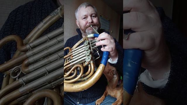 дуэт такысы и валторны смотреть онлайн