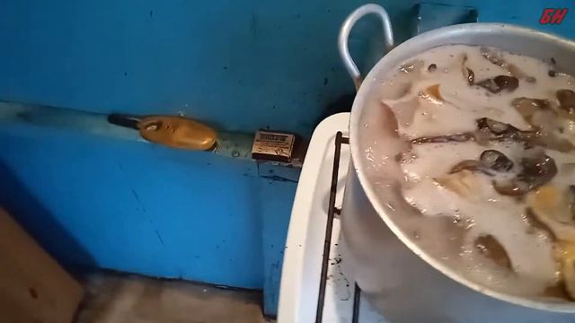 солим грибы простой способ засолки смотреть онлайн