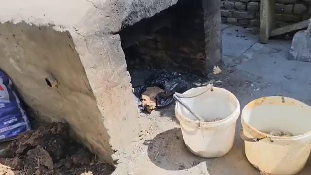 UY SHAROITIDA ANGUS AVLIKOL ZODLI MOLLARINI BOQISH SIRLARI