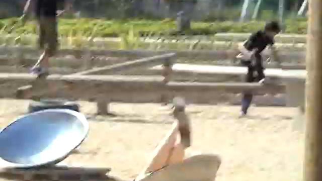 Wobble Dish смотреть онлайн