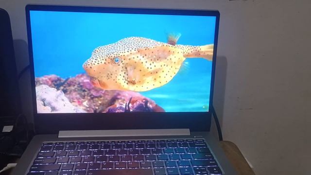 Lenovo ideapad 330 testing display смотреть онлайн