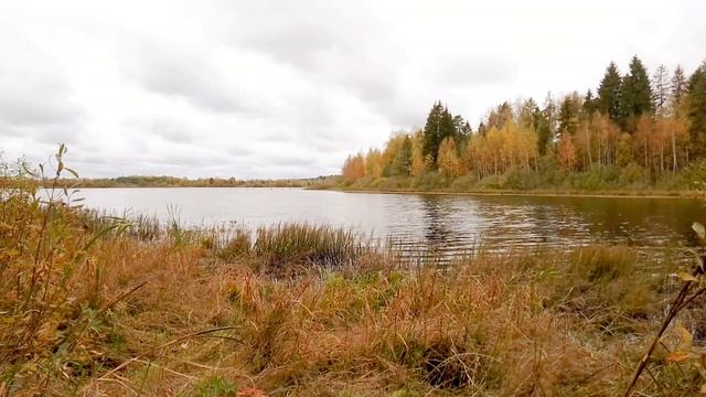 Озеро Волжанка. ч.1. Октябрь 2023 смотреть онлайн