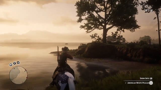 RDR2 Online - Exotic Bird Meat from Pelican, Fixed spawn locations for Pelican for Daily Challenge смотреть онлайн