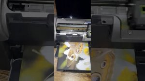 Принтер Epson Stylus Photo R320.после длительного отпуска вышел на работу.