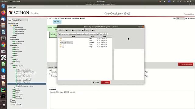 Scipion Deverlopers' course. Day 2.1 How to construct a useful protocol смотреть онлайн