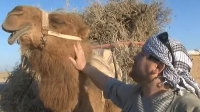 03 Талибан Тур Мазари шариф смотреть онлайн