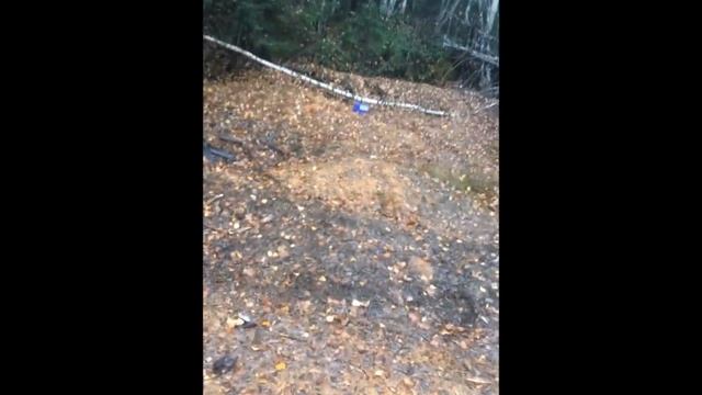 Травматический пистолет ОСА 4-1 МЛ смотреть онлайн