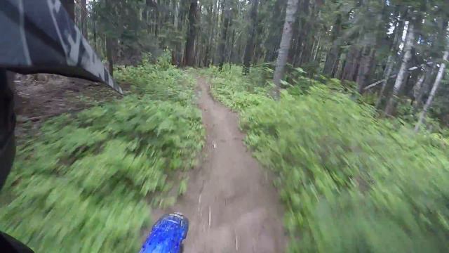 Gifford Pinchot National Forest Dirt Bike Riding the Boundary Trail #1 смотреть онлайн