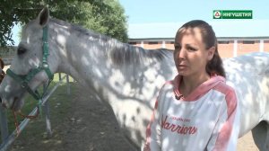 Уход за лошадями