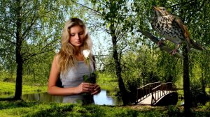 СОЛОВУШКА ПЕЛ ПРО ЛЮБОВЬ И ИЗМЕНУ... - ТАКАЯ ДУШЕВНАЯ ПЕСНЯ! - ИСП. ЖОРА ЗАТОНСКИЙ