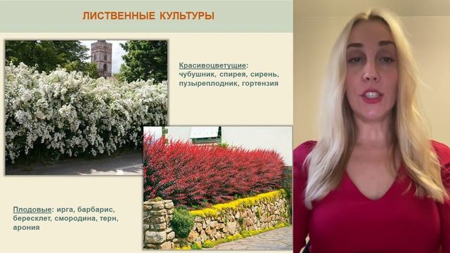 Zivye-izgorodi - смотреть видео онлайн от «channel36597164» в хорошем качестве, опубликованное 20 ав