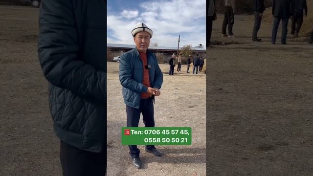 Машина для фасовки и силосования кормовой кукурузы и свекловичных выжимок. смотреть онлайн