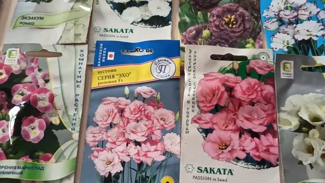 Подготовка к любимому сезону Обзор семян смотреть онлайн