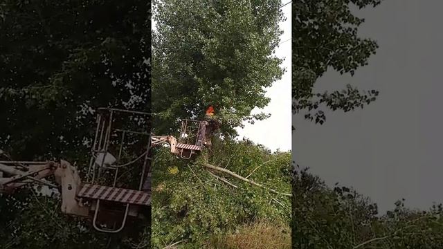 Электромонтёр-бензопильщик выполняет расчистку трассы ВЛ смотреть онлайн