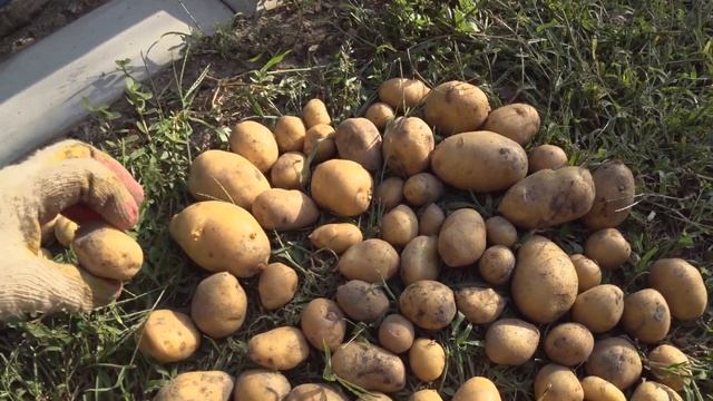 17.08.23 Что нас начинает доставать... смотреть онлайн