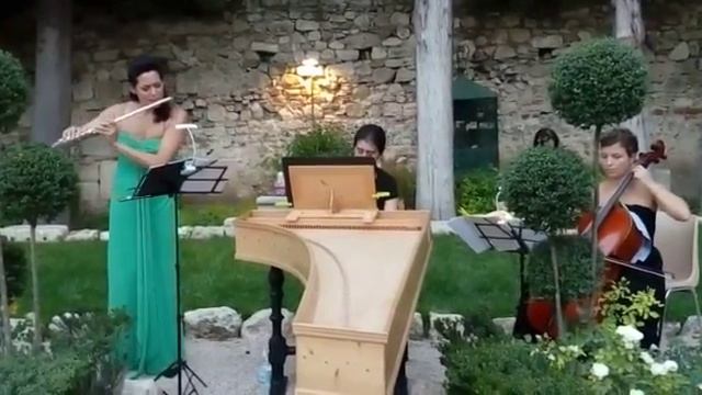 Locatelli Violin Sonata in D Min Op. 6 adapted for flute by Bianca Garcia [excerpt] смотреть онлайн