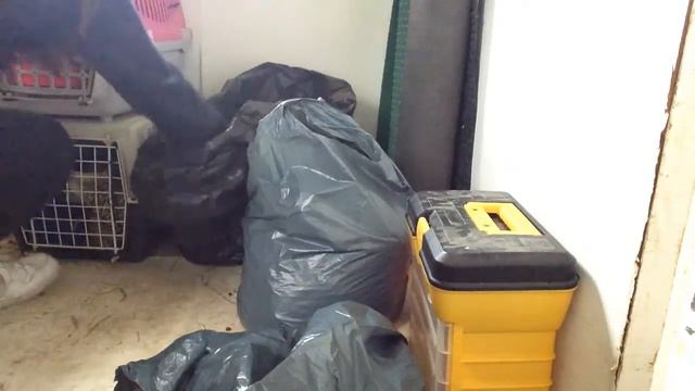 Packning till tävling ~Nike смотреть онлайн