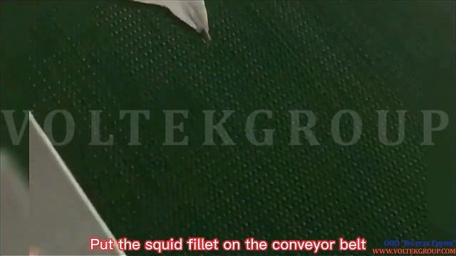 Тендерайзер VOLTEK VG 558