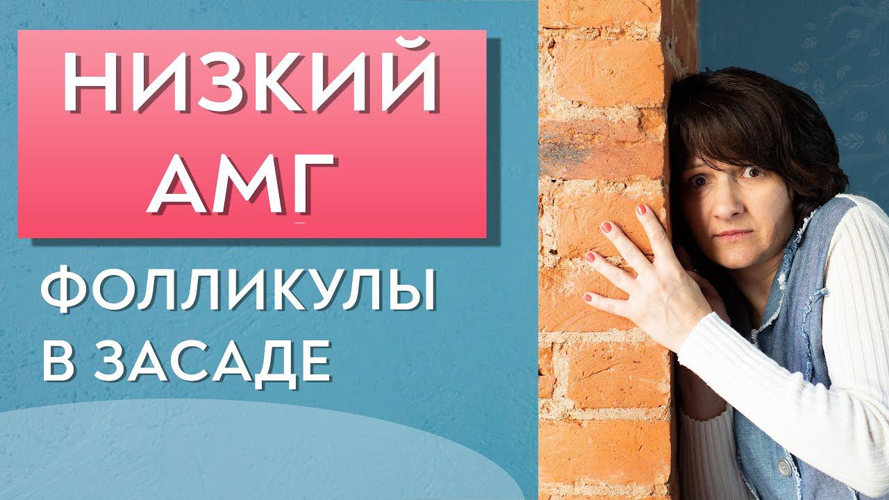 Низкий АМГ.  Как забеременеть?