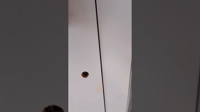 Из обычной двери делаем невидимую