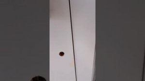 Из обычной двери делаем невидимую