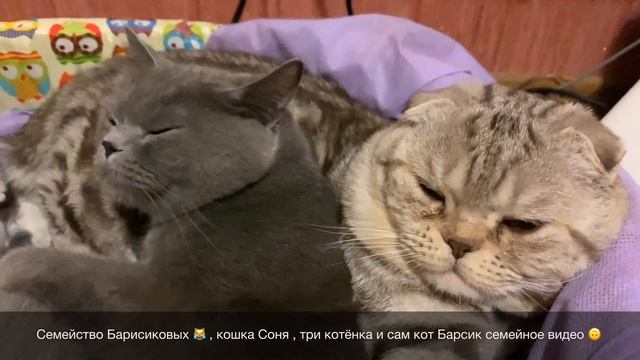 Не устанавливается macOS на iMac , MacBook - решение в этом видео смотреть онлайн