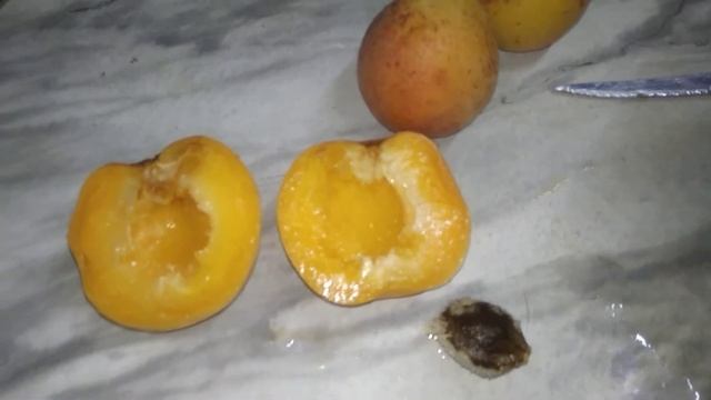 компот из ОГРОМНЫХ абрикос на зиму смотреть онлайн