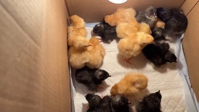 Анапа 1 апреля. Пришла весна. смотреть онлайн