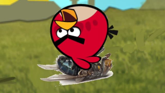 The Angry Birds Series Cinematic Trailer (a remake of the Angry Birds Cinematic Trailer) смотреть онлайн