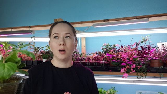 Освещение растений смотреть онлайн