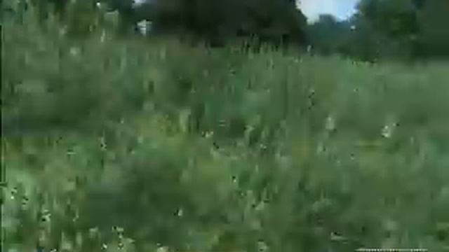 Oblivion Sneak смотреть онлайн