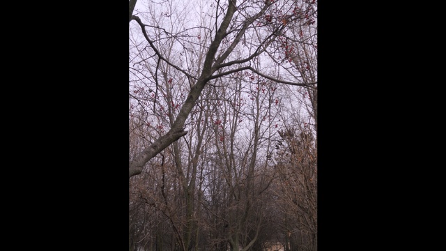 Между осенью и зимой смотреть онлайн