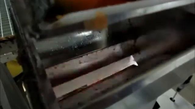 22 / AGROTARNA: High Speed Packaging Of Carrots - NEWTEC 4015B2G + JASA 350CM (continuous Motion)