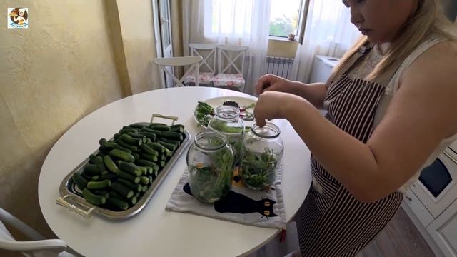 Хрустящие маринованные огурцы на зиму, супер легкий рецепт. смотреть онлайн