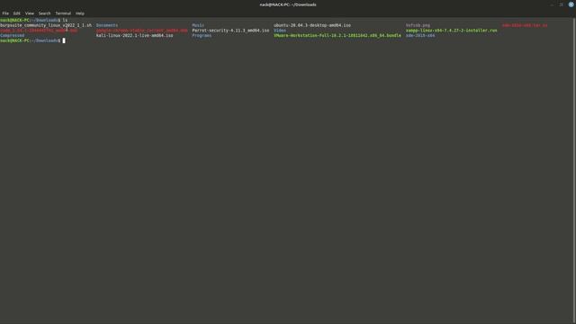 How to install Burp Suite on Linux mint смотреть онлайн