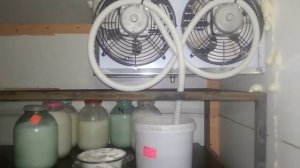 Холодильная камера своими руками спустя два месяца работы.