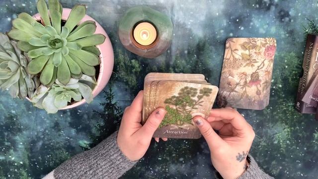 Magickal Herb oracle: deck review flip through смотреть онлайн