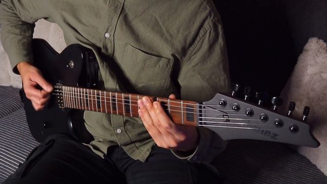 Bluesy Djent Riff // Ibanez FR800 смотреть онлайн