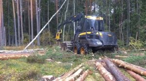 Харвестер PONSSE. Работа харвестера PONSSE в лесу.