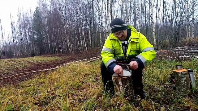 Заготовка дров. Штиль ms180. 18 ноября. смотреть онлайн