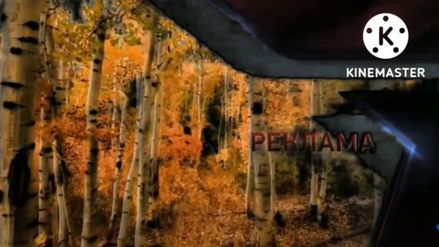 Заставки! Звезда-телеканал: С; эффектами! N°1: смотреть онлайн