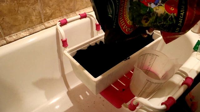 ЧЕМ ЗАНЯТЬСЯ ЛЕТОМ? САЖАЕМ ЛАВАНДУ И КЕДР ДОМА! смотреть онлайн