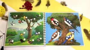 Макет Перелетные и зимующие птицы Игры на липучках