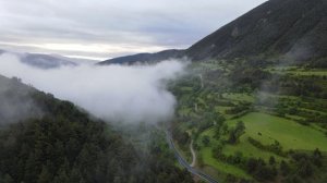 Стихи об исцелении из Библии в синодальном переводе.